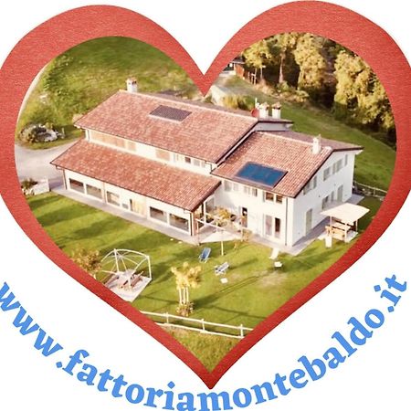 Agriturismo Fattoria Monte Baldo Vista Lago كابرينو فيرونيسي المظهر الخارجي الصورة