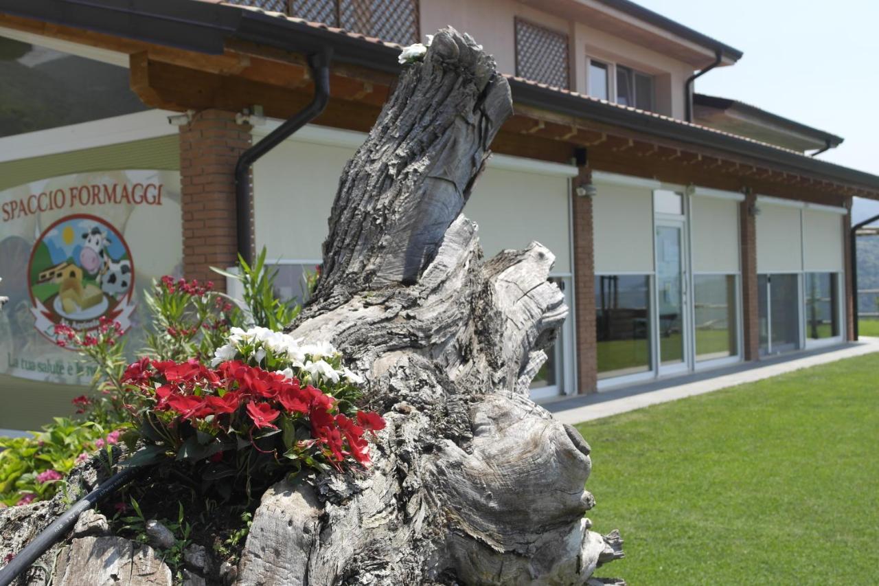 Agriturismo Fattoria Monte Baldo Vista Lago كابرينو فيرونيسي المظهر الخارجي الصورة